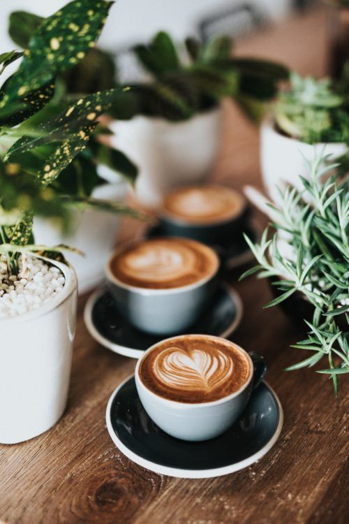 6 Reasons Why Coffee Is Good For You According To Science